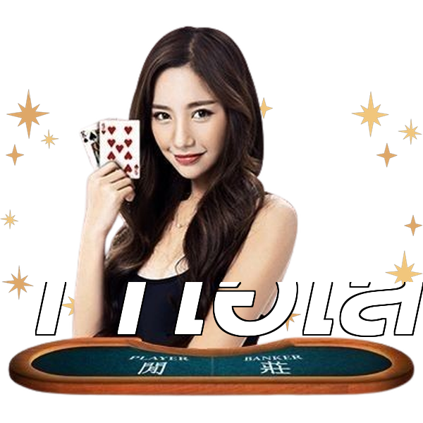 11ไฮโล